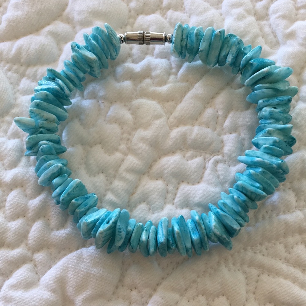 Turquoise Blue Shell Bracelet with Screw Closure